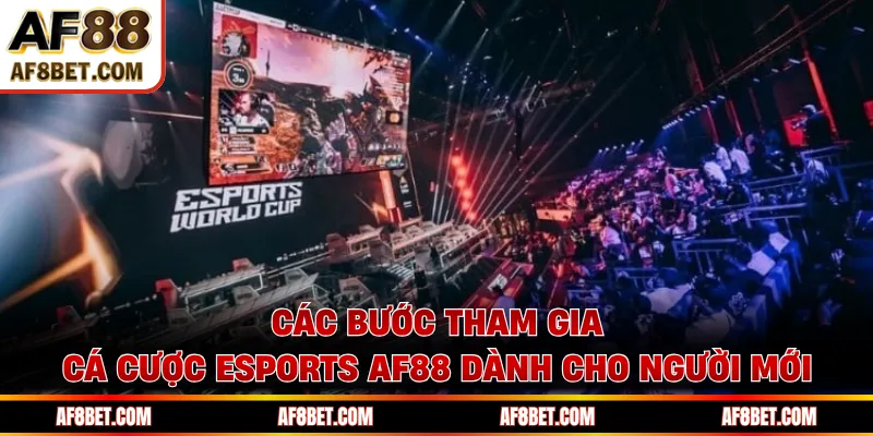 Esports AF88 - Hội Tụ Trận Đấu Hot Tỉ Lệ Kèo Hấp Dẫn Các bước tham gia cá cược Esports AF88 dành cho người mới
