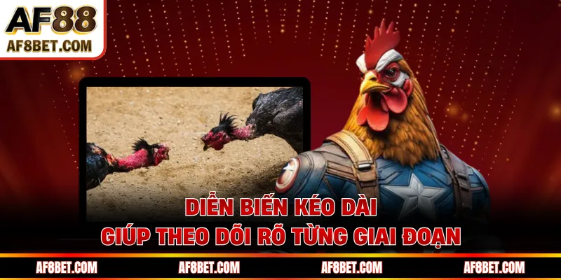 Đá Gà Cựa Dao AF88- Trực Tiếp Các Trận Đấu Kịch Tính Diễn biến kéo dài giúp theo dõi rõ từng giai đoạn